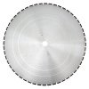 BF00813