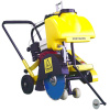 BF29289