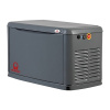 Газовый генератор PRAMAC GA8000_1