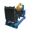 Газопоршневая электростанция REG G193-3-RE-LF_1