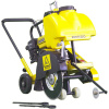 BF29288