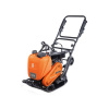 BF25011