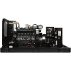 Газовый генератор PRAMAC Prime power GGW200G_1
