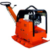 BF25061