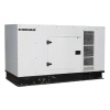 Дизельная электростанция FIRMAN SDG36FS в кожухе_1