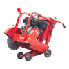 BF29312