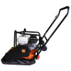 BF24781