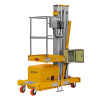 Подъемник одномачтовый SMARTLIFT GTWY 8-100 (T) (г п 125 кг  AC&DC  8 м)_1