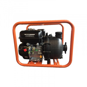 BF05917