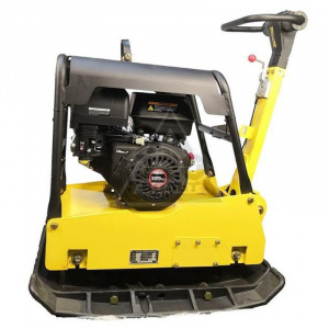BF25081
