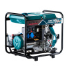 Дизельный генератор Alteco Professional ADG 7500E_1