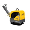 BF25029