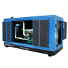 Дизельная электростанция GMGen Power Systems GMJ275 (в шумозащитном кожухе)_1